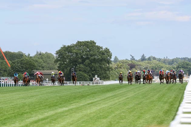 17.06.2026, Ascot, Windsor, GBR - Victorious (sixth from left) with Ryan Moore up wins the Queen Mary Stakes. Ascot racecourse. (Pferd, Jockey, Victorious, Moore, Sieg, Ziel, Zielankunft) 260617D534ROYAL_ASCOT.JPG
