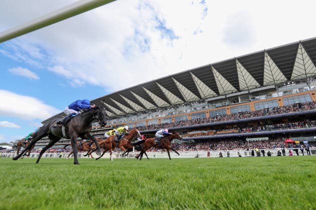 17.06.2026, Ascot, Windsor, GBR - Limestone (farside) with Dylan Browne McMonagle up wins the Queen s Vase. Ascot racecourse. (Pferd, Jockey, Limestone, McMonagle, Sieg, Ziel, Zielankunft, Del Maro) 260617D540ROYAL_ASCOT.JPG