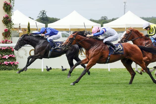 17.06.2026, Ascot, Windsor, GBR - Limestone (nearside) with Dylan Browne McMonagle up wins the Queen s Vase. Ascot racecourse. (Pferd, Jockey, Limestone, McMonagle, Sieg, Ziel, Zielankunft, Del Maro) 260617D541ROYAL_ASCOT.JPG