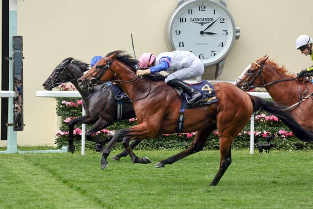 17.06.2026, Ascot, Windsor, GBR - Limestone (nearside) with Dylan Browne McMonagle up wins the Queen s Vase. Ascot racecourse. (Pferd, Jockey, Limestone, McMonagle, Sieg, Ziel, Zielankunft, Del Maro) 260617D543ROYAL_ASCOT.JPG