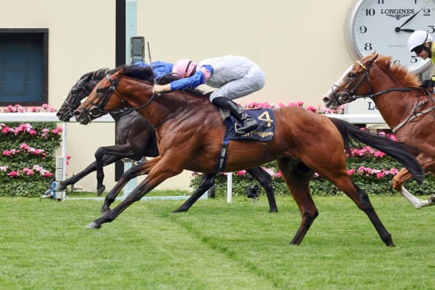 17.06.2026, Ascot, Windsor, GBR - Limestone (nearside) with Dylan Browne McMonagle up wins the Queen s Vase. Ascot racecourse. (Pferd, Jockey, Limestone, McMonagle, Sieg, Ziel, Zielankunft, Del Maro) 260617D544ROYAL_ASCOT.JPG