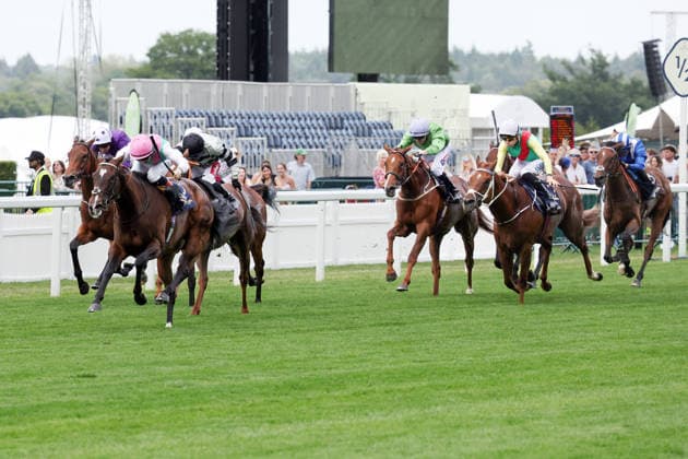 17.06.2026, Ascot, Windsor, GBR - Blue Bolt with Colin Keane up wins the Duke Of Cambridge Stakes. Ascot racecourse. (Pferd, Jockey, Blue Bolt, Keane, Sieg, Ziel, Zielankunft) 260617D551ROYAL_ASCOT.JPG