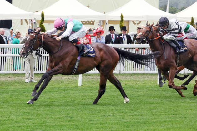 17.06.2026, Ascot, Windsor, GBR - Blue Bolt with Colin Keane up wins the Duke Of Cambridge Stakes. Ascot racecourse. (Pferd, Jockey, Blue Bolt, Keane, Sieg, Ziel, Zielankunft) 260617D552ROYAL_ASCOT.JPG