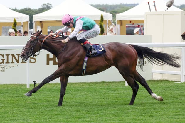17.06.2026, Ascot, Windsor, GBR - Blue Bolt with Colin Keane up wins the Duke Of Cambridge Stakes. Ascot racecourse. (Pferd, Jockey, Blue Bolt, Keane, Sieg, Ziel, Zielankunft) 260617D554ROYAL_ASCOT.JPG