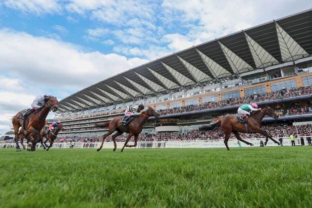 17.06.2026, Ascot, Windsor, GBR - Blue Bolt with Colin Keane up wins the Duke Of Cambridge Stakes. Ascot racecourse. (Pferd, Jockey, Blue Bolt, Keane, Sieg, Ziel, Zielankunft) 260617D555ROYAL_ASCOT.JPG