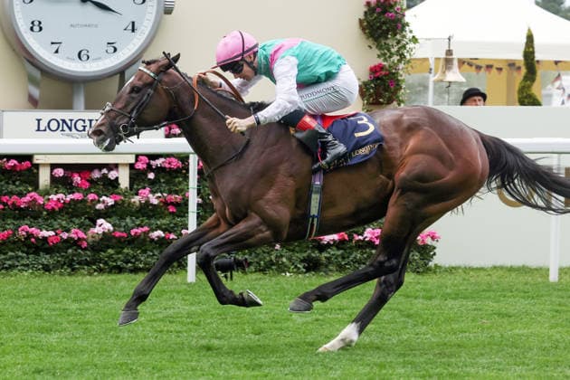 17.06.2026, Ascot, Windsor, GBR - Blue Bolt with Colin Keane up wins the Duke Of Cambridge Stakes. Ascot racecourse. (Pferd, Jockey, Blue Bolt, Keane, Sieg, Ziel, Zielankunft) 260617D556ROYAL_ASCOT.JPG
