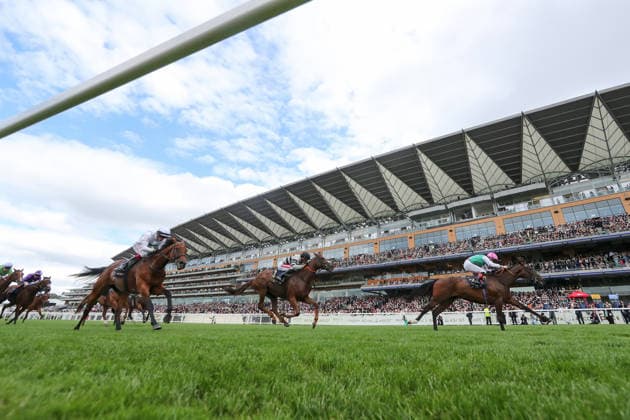 17.06.2026, Ascot, Windsor, GBR - Blue Bolt with Colin Keane up wins the Duke Of Cambridge Stakes. Ascot racecourse. (Pferd, Jockey, Blue Bolt, Keane, Sieg, Ziel, Zielankunft) 260617D557ROYAL_ASCOT.JPG