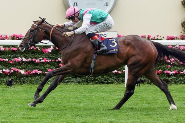 17.06.2026, Ascot, Windsor, GBR - Blue Bolt with Colin Keane up wins the Duke Of Cambridge Stakes. Ascot racecourse. (Pferd, Jockey, Blue Bolt, Keane, Sieg, Ziel, Zielankunft) 260617D558ROYAL_ASCOT.JPG