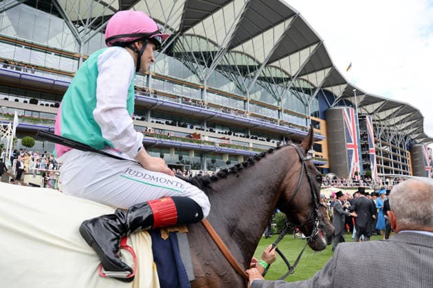 17.06.2026, Ascot, Windsor, GBR - Blue Bolt with Colin Keane up after winning the Duke Of Cambridge Stakes. Ascot racecourse. (Pferd, Jockey, Blue Bolt, Keane, Sieg) 260617D561ROYAL_ASCOT.JPG