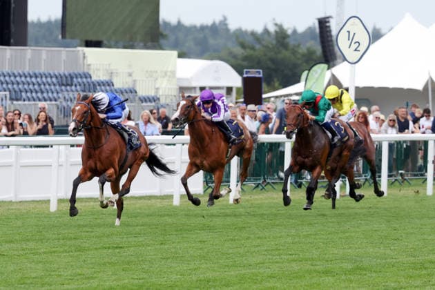 17.06.2026, Ascot, Windsor, GBR - Ombudsman with William Buick up wins the Prince Of Wales s Stakes. Ascot racecourse. (Pferd, Jockey, Ombudsman, Buick, Sieg, Ziel, Zielankunft) 260617D565ROYAL_ASCOT.JPG
