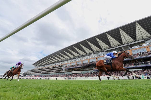 17.06.2026, Ascot, Windsor, GBR - Ombudsman with William Buick up wins the Prince Of Wales s Stakes. Ascot racecourse. (Pferd, Jockey, Ombudsman, Buick, Sieg, Ziel, Zielankunft) 260617D571ROYAL_ASCOT.JPG