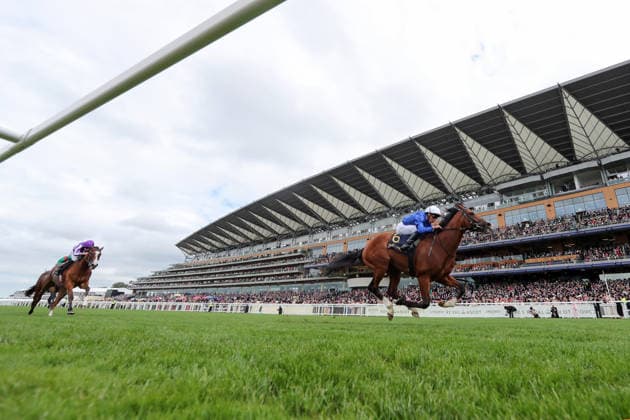 17.06.2026, Ascot, Windsor, GBR - Ombudsman with William Buick up wins the Prince Of Wales s Stakes. Ascot racecourse. (Pferd, Jockey, Ombudsman, Buick, Sieg, Ziel, Zielankunft) 260617D567ROYAL_ASCOT.JPG
