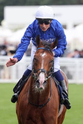 17.06.2026, Ascot, Windsor, GBR - Ombudsman with William Buick up after winning the Prince Of Wales s Stakes. Ascot racecourse. (Pferd, Jockey, Ombudsman, Buick, Sieg) 260617D573ROYAL_ASCOT.JPG