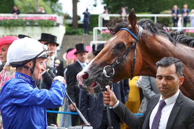 17.06.2026, Ascot, Windsor, GBR - Ombudsman with William Buick after winning the Prince Of Wales s Stakes. Ascot racecourse. (Pferd, Jockey, Ombudsman, Buick, Sieg) 260617D578ROYAL_ASCOT.JPG