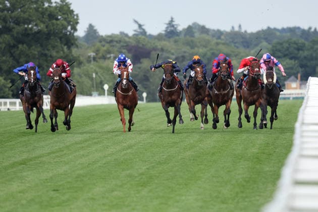 17.06.2026, Ascot, Windsor, GBR - Rogue Diplomat (second from right) with Harry Davies up wins the Royal Hunt Cup. Ascot racecourse. (Pferd, Jockey, Rogue Diplomat, Davies, Sieg, Ziel, Zielankunft) 260617D592ROYAL_ASCOT.JPG