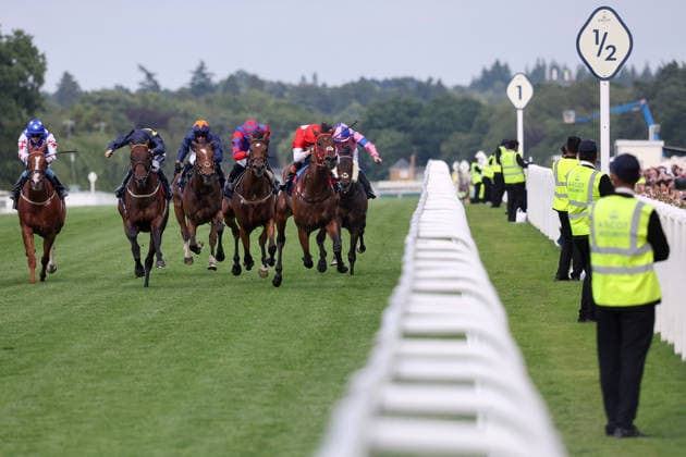 17.06.2026, Ascot, Windsor, GBR - Rogue Diplomat with Harry Davies (red dress) up wins the Royal Hunt Cup. Ascot racecourse. (Pferd, Jockey, Rogue Diplomat, Davies, Sieg, Ziel, Zielankunft, Security, Rails, Sicherheit, Sicherheitspersonal) 260617D593ROYAL_ASCOT.JPG