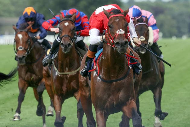 17.06.2026, Ascot, Windsor, GBR - Rogue Diplomat with Harry Davies up wins the Royal Hunt Cup. Ascot racecourse. (Pferd, Jockey, Rogue Diplomat, Davies, Sieg, Ziel, Zielankunft) 260617D594ROYAL_ASCOT.JPG