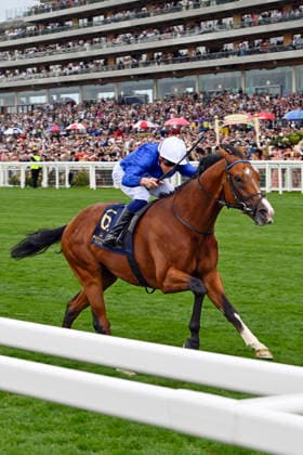 17.06.2026, Ascot, Windsor, GBR - Ombudsman with William Buick up wins the Prince Of Wales s Stakes. Ascot racecourse. (Pferd, Jockey, Ombudsman, Buick, Sieg, Ziel, Zielankunft) 260617C903ROYAL_ASCOT.JPG