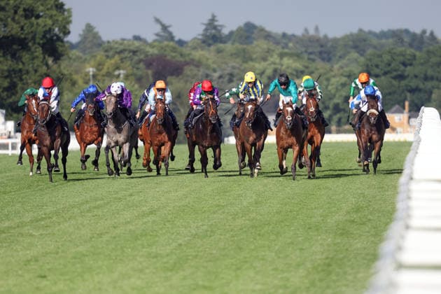 17.06.2026, Ascot, Windsor, GBR - King Of Cloughan with Billy Loughnane (yellow cap) up wins the Windsor Castle Stakes. Ascot racecourse. (Pferd, Jockey, King of Cloughan, Loughnane, Sieg, Ziel, Zielankunft) 260617D608ROYAL_ASCOT.JPG