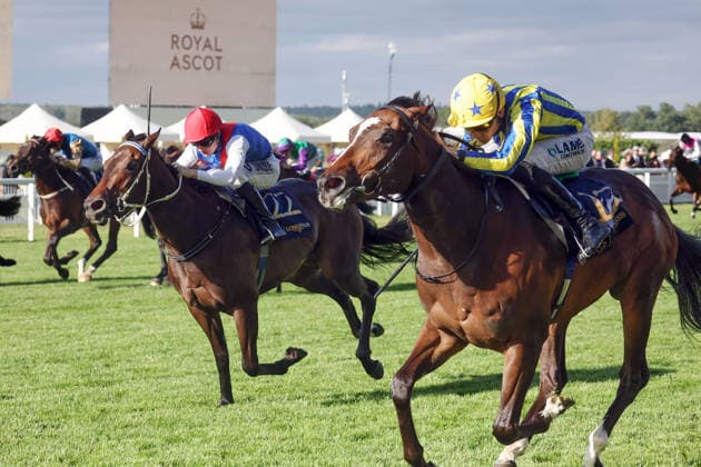 17.06.2026, Ascot, Windsor, GBR - King Of Cloughan with Billy Loughnane up wins the Windsor Castle Stakes. Ascot racecourse. (Pferd, Jockey, King of Cloughan, Loughnane, Sieg, Ziel, Zielankunft) 260617D610ROYAL_ASCOT.JPG