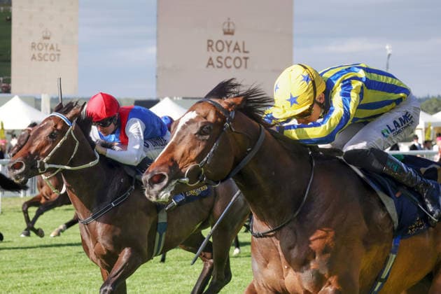 17.06.2026, Ascot, Windsor, GBR - King Of Cloughan with Billy Loughnane up wins the Windsor Castle Stakes. Ascot racecourse. (Pferd, Jockey, King of Cloughan, Loughnane, Sieg, Ziel, Zielankunft) 260617D611ROYAL_ASCOT.JPG