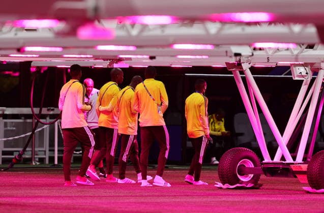 FIFA World Cup, WM, Weltmeisterschaft, Fussball 2026 - South Africa press conference, PK, Pressekonferenz South Africa players inspect under grow light the pitch of the Atlanta Stadium following a press conference in Atlanta, Georgia, USA, 17 June 2026. South Africa will face Czechia on 18 June in a FIFA World Cup 2026 group A match. ATLANTA United States  Copyright: xRONALDxWITTEKx