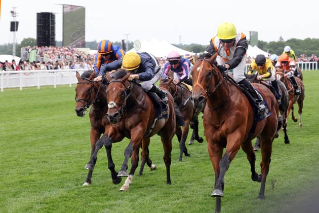 18.06.2026, Ascot, Windsor, GBR - Nola Soul (nearside) with Seamus Heffernan up wins the Chesham Stakes. Ascot racecourse. (Pferd, Jockey, Nola Soul, Heffernan, Sieg, Ziel, Zielankunft) 260618D535ROYAL_ASCOT.JPG