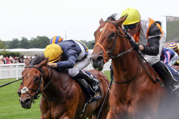 18.06.2026, Ascot, Windsor, GBR - Nola Soul (nearside) with Seamus Heffernan up wins the Chesham Stakes. Ascot racecourse. (Pferd, Jockey, Nola Soul, Heffernan, Sieg, Ziel, Zielankunft) 260618D536ROYAL_ASCOT.JPG