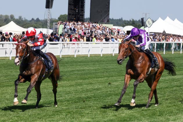 19.06.2026, Ascot, Windsor, GBR - Libertango with Billy Loughnane up wins the Albany Stakes. Ascot racecourse. (Pferd, Jockey, Libertango, Loughnane, Sieg, Ziel, Zielankunft) 260619D504ROYAL_ASCOT.JPG *** June 19, 2026, Ascot, Windsor, GBR Libertango, ridden by Billy Loughnane, wins the Albany Stakes at Ascot Racecourse Horse, Jockey, Libertango, Loughnane, Victory, Finish, Finish Line 260619D504ROYAL ASCOT JPG,detected_source_language