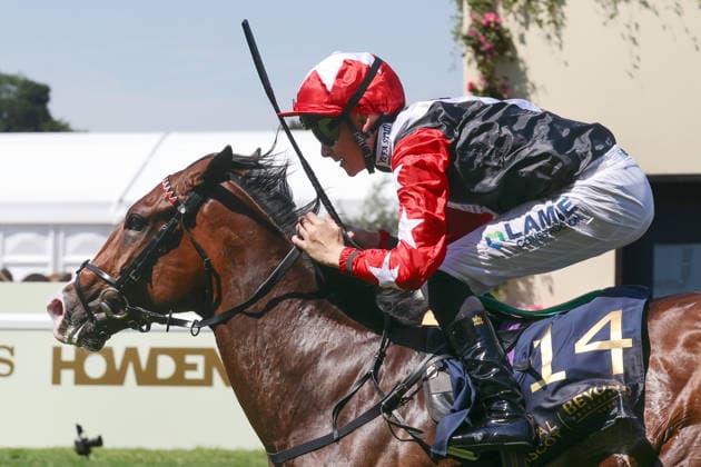 19.06.2026, Ascot, Windsor, GBR - Libertango with Billy Loughnane up wins the Albany Stakes. Ascot racecourse. (Pferd, Jockey, Libertango, Loughnane, Sieg, Ziel, Zielankunft) 260619D505ROYAL_ASCOT.JPG *** June 19, 2026, Ascot, Windsor, UK