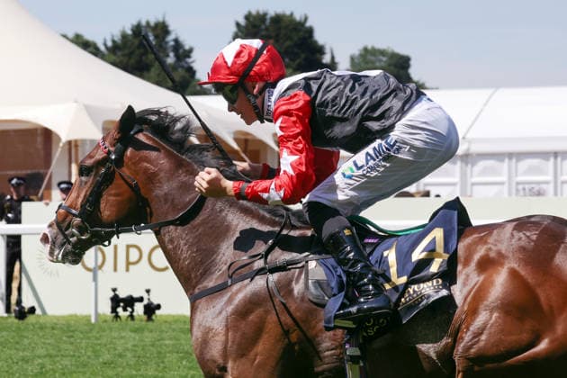 19.06.2026, Ascot, Windsor, GBR - Libertango with Billy Loughnane up wins the Albany Stakes. Ascot racecourse. (Pferd, Jockey, Libertango, Loughnane, Sieg, Ziel, Zielankunft) 260619D506ROYAL_ASCOT.JPG *** June 19, 2026, Ascot, Windsor, UK