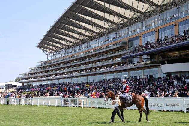 19.06.2026, Ascot, Windsor, GBR - Libertango with Billy Loughnane up after winning the Albany Stakes. Ascot racecourse. (Pferd, Jockey, Libertango, Loughnane, Sieg) 260619D509ROYAL_ASCOT.JPG *** June 19, 2026, Ascot, Windsor, GBR Libertango with Billy Loughnane in the saddle after winning the Albany Stakes at Ascot Racecourse Horse, Jockey, Libertango, Loughnane, Victory 260619D509ROYAL ASCOT JPG,detected_source_language