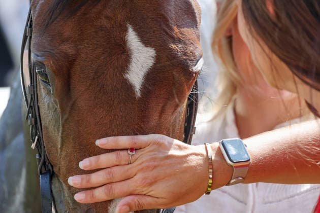19.06.2026, Ascot, Windsor, GBR - Libertango is being petted after winning the Albany Stakes. Ascot racecourse. (Pferd, Libertango, streicheln, loben, Lob, Tierliebe, Anschnitt, Detail, Detailaufnahme) 260619D515ROYAL_ASCOT.JPG *** June 19, 2026, Ascot, Windsor, GBR Libertango is being petted after winning the Albany Stakes at Ascot Racecourse Horse, Libertango, petting, praise, animal love, close-up, detail, detailed shot 260619D515ROYAL ASCOT JPG,detected_source_language