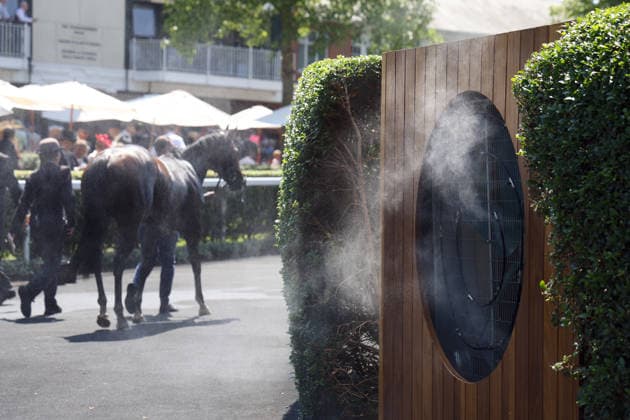 19.06.2026, Ascot, Windsor, GBR - Horse cooling down after a race with cold water and fresh air. Ascot racecourse. (Pferd, abkuehlen, Abkuehlung, Hitze, heiss, Sommerhitze, Wasser, erfrischen, Erfrischung, Luft, Ventilator) 260619D516ROYAL_ASCOT.JPG *** June 19, 2026, Ascot, Windsor, GBR Horse cooling down after a race with cold water and fresh air at Ascot Racecourse; horse, cooling down, cooling, heat, hot, summer heat, water, refresh, refreshment, air, fan 260619D516ROYAL ASCOT JPG,detected_source_language