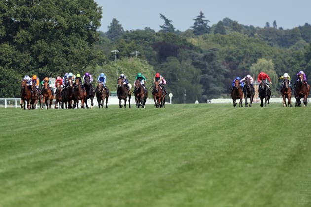 19.06.2026, Ascot, Windsor, GBR - Venetian Sun with Clifford Lee (light blue) up wins the Commonwealth Cup. Ascot racecourse. (Pferd, Jockey, Venetian Sun, Lee, Sieg, Ziel, Zielankunft) 260619D517ROYAL_ASCOT.JPG *** June 19, 2026, Ascot, Windsor, UK