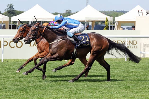 19.06.2026, Ascot, Windsor, GBR - Venetian Sun (nearside) with Clifford Lee up wins the Commonwealth Cup. Ascot racecourse. (Pferd, Jockey, Venetian Sun, Lee, Sieg, Ziel, Zielankunft) 260619D519ROYAL_ASCOT.JPG *** June 19, 2026, Ascot, Windsor, UK