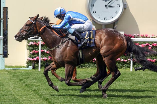 19.06.2026, Ascot, Windsor, GBR - Venetian Sun with Clifford Lee up wins the Commonwealth Cup. Ascot racecourse. (Pferd, Jockey, Venetian Sun, Lee, Sieg, Ziel, Zielankunft) 260619D521ROYAL_ASCOT.JPG *** June 19, 2026, Ascot, Windsor, GBR