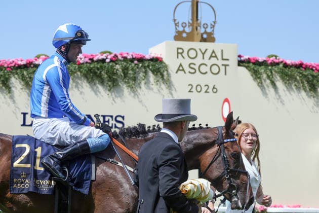 19.06.2026, Ascot, Windsor, GBR - Venetian Sun with Clifford Lee up after winning the Commonwealth Cup. Ascot racecourse. (Pferd, Jockey, Venetian Sun, Lee, Sieg) 260619D524ROYAL_ASCOT.JPG *** June 19, 2026, Ascot, Windsor, GBR
