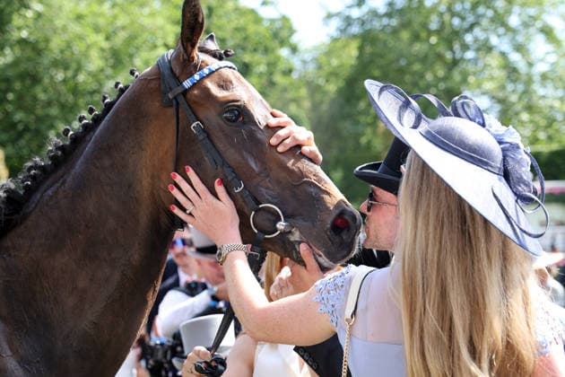 19.06.2026, Ascot, Windsor, GBR - Venetian Sun kissing by his owner after winning the Commonwealth Cup. Ascot racecourse. (Pferd, Venetian Sun, Besitzer, Kuss, kuessen) 260619D531ROYAL_ASCOT.JPG *** June 19, 2026, Ascot, Windsor, GBR