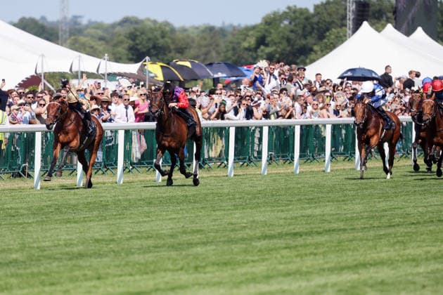 19.06.2026, Ascot, Windsor, GBR - Opportunity with James McDonald up wins the Duke Of Edinburgh Stakes. Ascot racecourse. (Pferd, Jockey, Opportunity, McDonald, Sieg, Ziel, Zielankunft) 260619D534ROYAL_ASCOT.JPG *** June 19, 2026, Ascot, Windsor, GBR