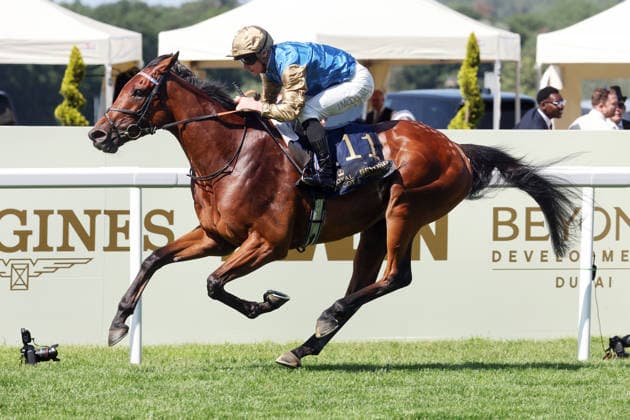 19.06.2026, Ascot, Windsor, GBR - Opportunity with James McDonald up wins the Duke Of Edinburgh Stakes. Ascot racecourse. (Pferd, Jockey, Opportunity, McDonald, Sieg, Ziel, Zielankunft) 260619D536ROYAL_ASCOT.JPG *** June 19, 2026, Ascot, Windsor, GBR