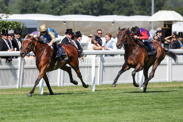 19.06.2026, Ascot, Windsor, GBR - Opportunity with James McDonald up wins the Duke Of Edinburgh Stakes. Ascot racecourse. (Pferd, Jockey, Opportunity, McDonald, Sieg, Ziel, Zielankunft) 260619D535ROYAL_ASCOT.JPG *** June 19, 2026, Ascot, Windsor, GBR