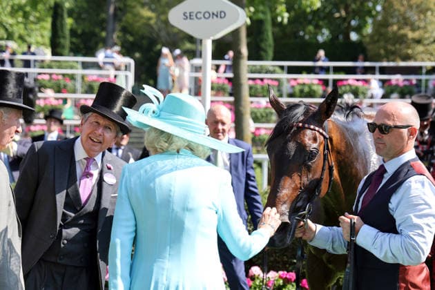 19.06.2026, Ascot, Windsor, GBR - King Charles III (left) and Camilla, the Queen Consort have a look at their horse Warrant Holder who placed second in the Duke Of Edinburgh Stakes. Ascot racecourse. (Pferd, Warrant Holder, Koenig Charles, Koenigin Camilla) 260619D544ROYAL_ASCOT.JPG *** June 19, 2026, Ascot, Windsor, GBR