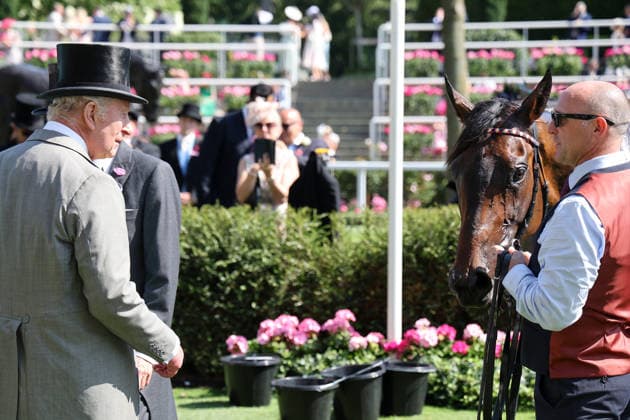 19.06.2026, Ascot, Windsor, GBR - King Charles III has a look at his horse Warrant Holder who placed second in the Duke Of Edinburgh Stakes. Ascot racecourse. (Pferd, Warrant Holder, Koenig Charles) 260619D545ROYAL_ASCOT.JPG *** June 19, 2026, Ascot, Windsor, GBR King Charles III takes a look at his horse Warrant Holder, who finished second in the Duke of Edinburgh Stakes at Ascot Racecourse. Horse, Warrant Holder, King Charles 260619D545ROYAL ASCOT JPG,detected_source_language