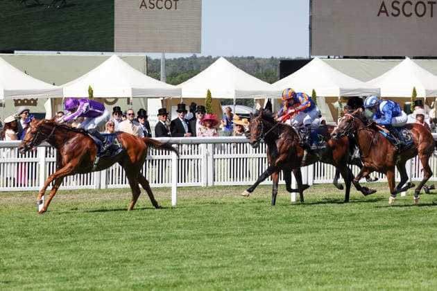 19.06.2026, Ascot, Windsor, GBR - Precise with Ryan Moore up wins the Coronation Stakes. Ascot racecourse. (Pferd, Jockey, Precise, Moore, Sieg, Ziel, Zielankunft) 260619D548ROYAL_ASCOT.JPG *** June 19, 2026, Ascot, Windsor, GBR