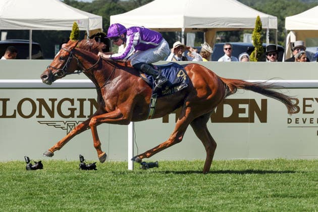 19.06.2026, Ascot, Windsor, GBR - Precise with Ryan Moore up wins the Coronation Stakes. Ascot racecourse. (Pferd, Jockey, Precise, Moore, Sieg, Ziel, Zielankunft) 260619D549ROYAL_ASCOT.JPG *** June 19, 2026, Ascot, Windsor, GBR
