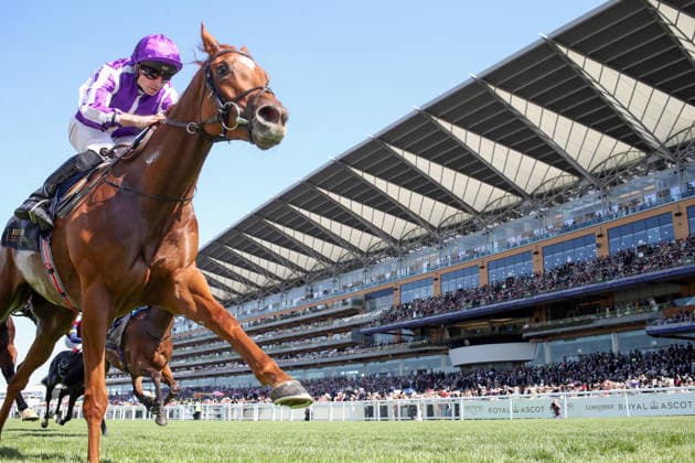 19.06.2026, Ascot, Windsor, GBR - Precise with Ryan Moore up wins the Coronation Stakes. Ascot racecourse. (Pferd, Jockey, Precise, Moore, Sieg, Ziel, Zielankunft) 260619D550ROYAL_ASCOT.JPG *** June 19, 2026, Ascot, Windsor, GBR