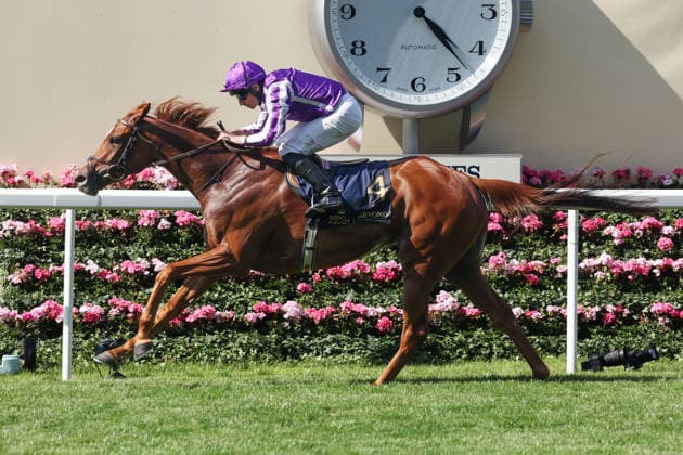 19.06.2026, Ascot, Windsor, GBR - Precise with Ryan Moore up wins the Coronation Stakes. Ascot racecourse. (Pferd, Jockey, Precise, Moore, Sieg, Ziel, Zielankunft) 260619D551ROYAL_ASCOT.JPG *** June 19, 2026, Ascot, Windsor, GBR