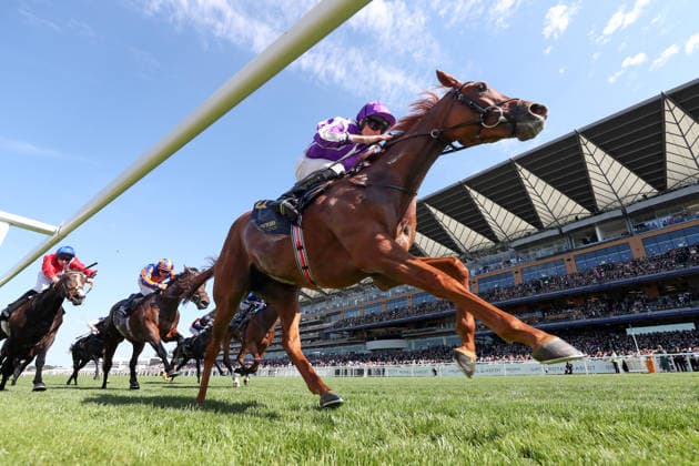 19.06.2026, Ascot, Windsor, GBR - Precise with Ryan Moore up wins the Coronation Stakes. Ascot racecourse. (Pferd, Jockey, Precise, Moore, Sieg, Ziel, Zielankunft) 260619D552ROYAL_ASCOT.JPG *** June 19, 2026, Ascot, Windsor, GBR