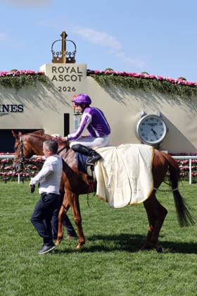 19.06.2026, Ascot, Windsor, GBR - Precise with Ryan Moore up after winning the Coronation Stakes. Ascot racecourse. (Pferd, Jockey, Precise, Moore, Sieg) 260619D555ROYAL_ASCOT.JPG